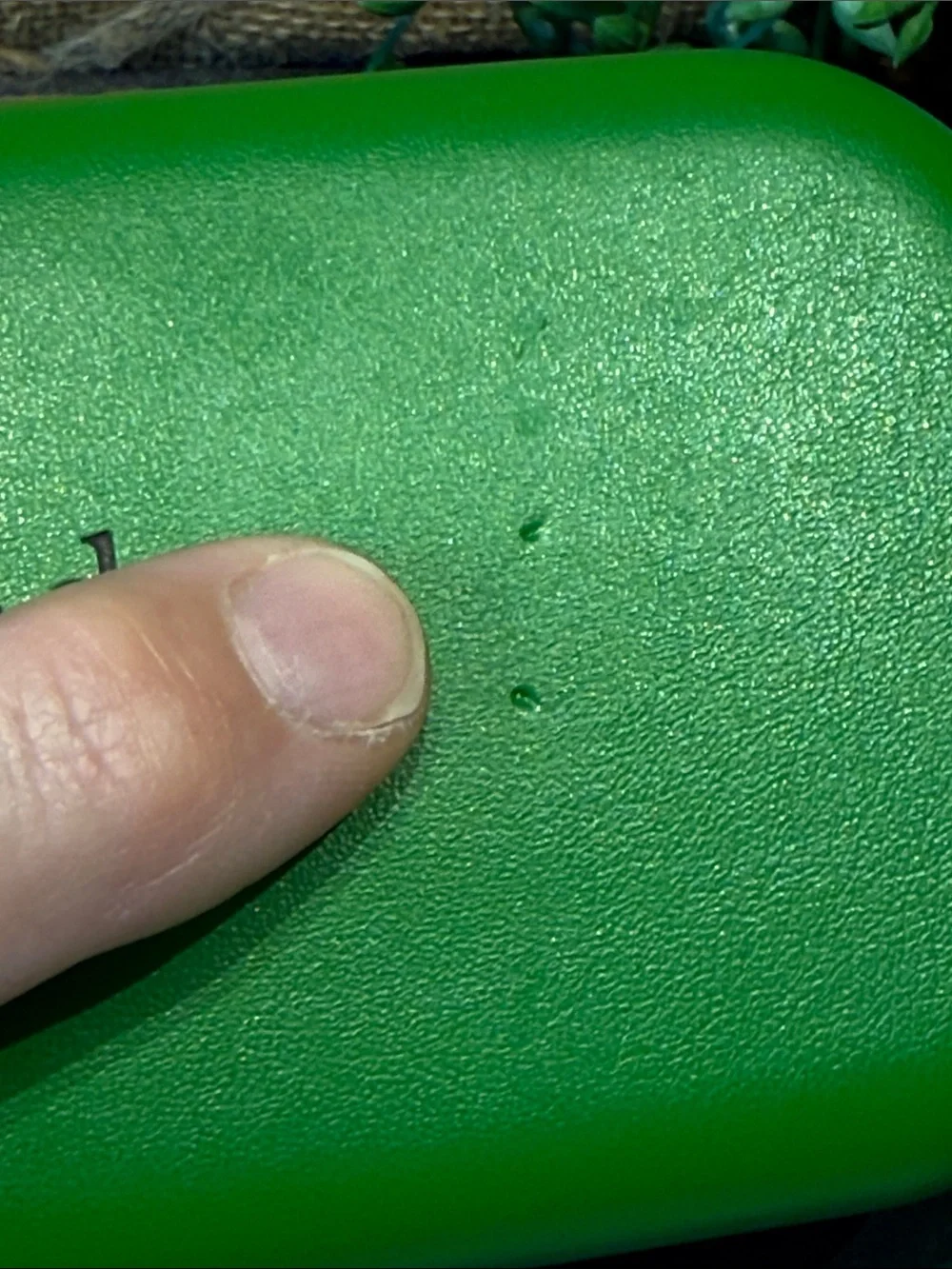 kate spade Green and Black Hard Eyeglass Case